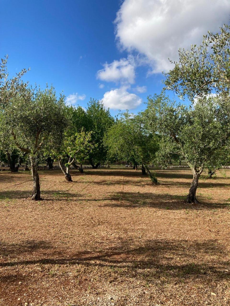 Antica Tenuta Dei Trulli By Qualitravel Alberobello Kültér fotó